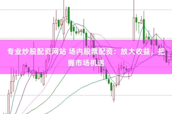专业炒股配资网站 场内股票配资：放大收益，把握市场机遇