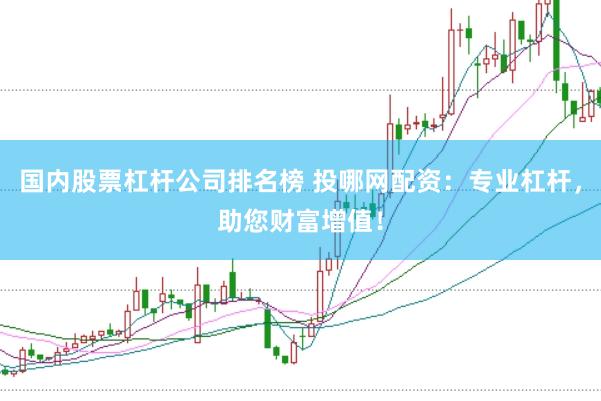 国内股票杠杆公司排名榜 投哪网配资：专业杠杆，助您财富增值！