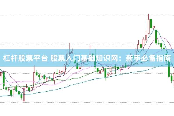 杠杆股票平台 股票入门基础知识网：新手必备指南