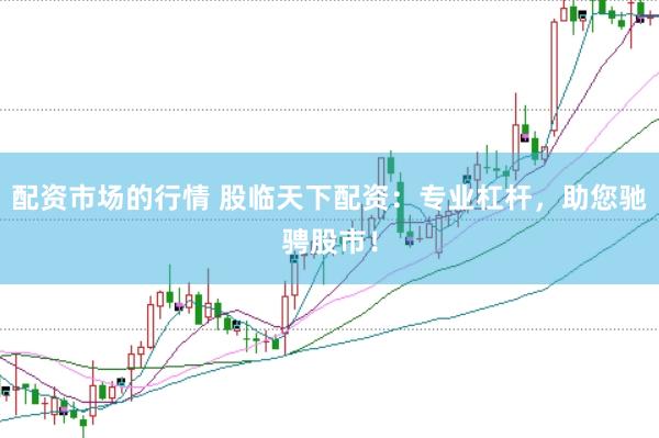 配资市场的行情 股临天下配资：专业杠杆，助您驰骋股市！