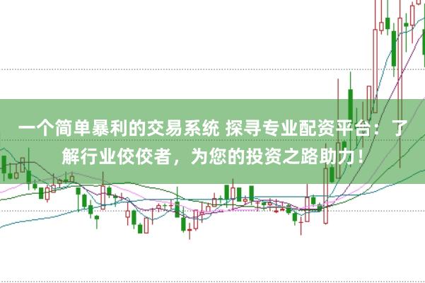 一个简单暴利的交易系统 探寻专业配资平台：了解行业佼佼者，为您的投资之路助力！