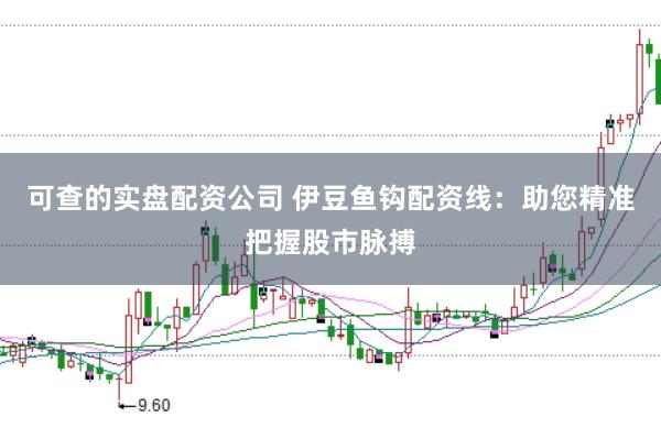 可查的实盘配资公司 伊豆鱼钩配资线:助您精准把握股市脉搏