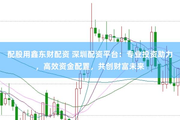 配股用鑫东财配资 深圳配资平台:专业投资助力,高效资金配置,共创财富未来