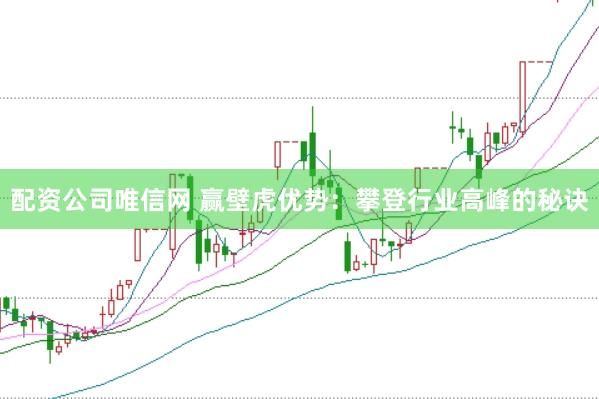 配资公司唯信网 赢壁虎优势：攀登行业高峰的秘诀